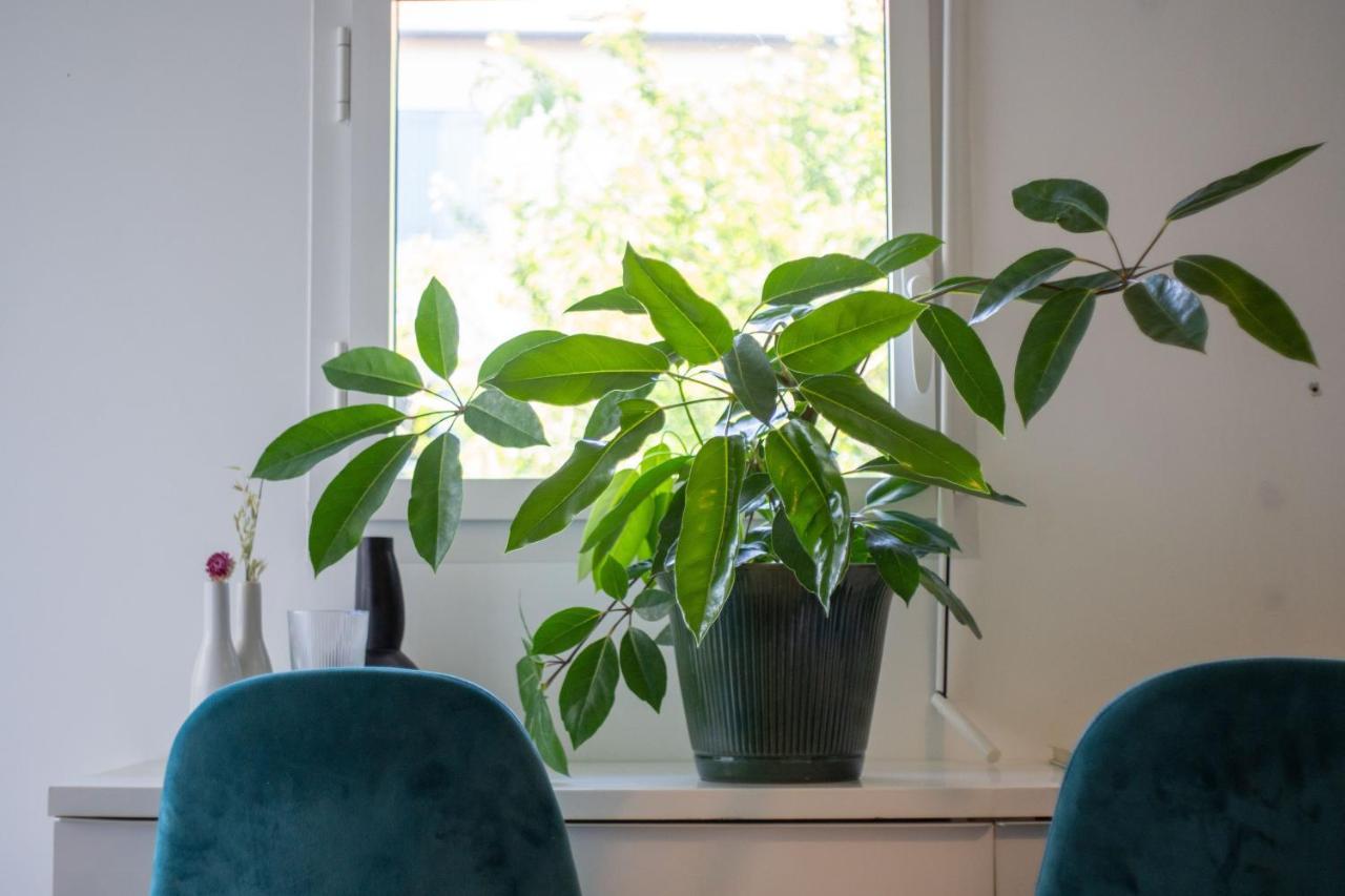 Bel Appartement Lumineux A Биарриц Экстерьер фото